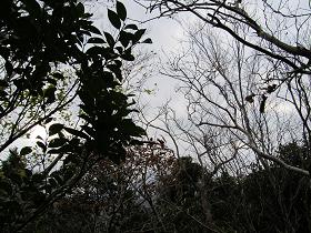 もはや展望はないんダネ