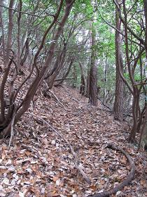 よくみると踏み跡ダネ