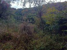 神も仏もおらんのんかい