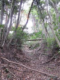 溝が掘ってあるんダネ