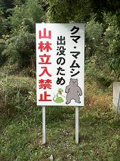 倉梯山オールスターズか