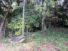 間違いのはじまりはじまり