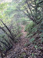 よもやこのあと