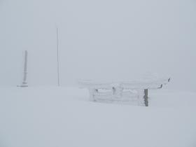 埋まる鳥居そして