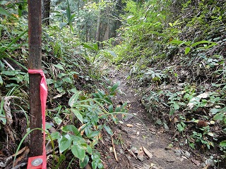 2.ピンクのテープで何するの