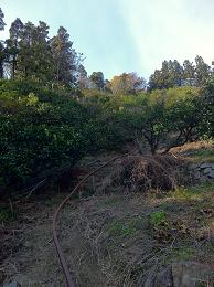 スタンドバイミー的な