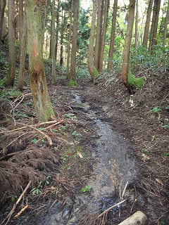 6.泥んこなんですけどー