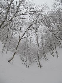 Ｖ字の谷は続くのだ