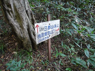 4.こっちの道は未知の道とミタ