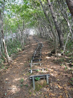 7.階段とはいい度胸じゃない