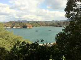 一角からは海が見える