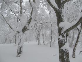 誰も通らない尾根を行く