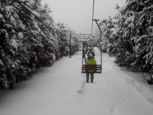 しょくにん写真