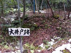 大井戸そして７号