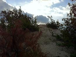 山頂はすぐそこだが気をぬくんじゃないぞ！
