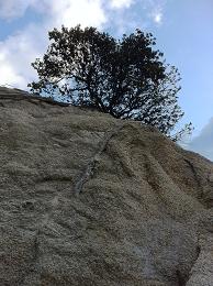 ムリムリムリムリ