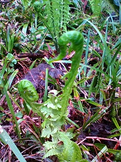 20120503094117 20120503094117