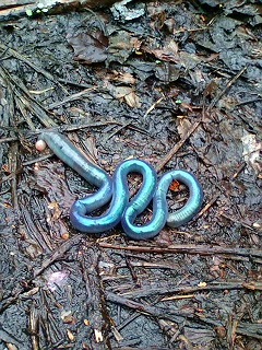 20120503094239 20120503094239