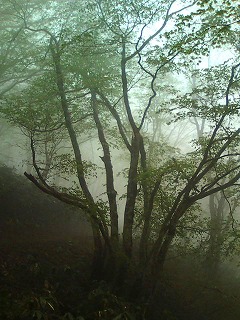 20120503101411 20120503101411