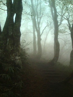 20120503104425 20120503104425