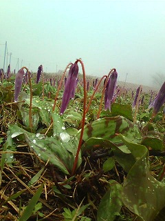 20120503105055 20120503105055