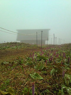 20120503105110 20120503105110