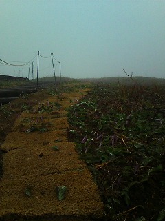 20120503120244 20120503120244