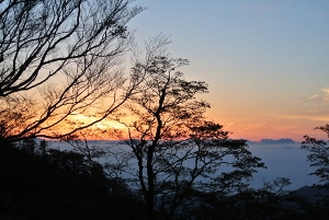 20130518-3 (300x201)