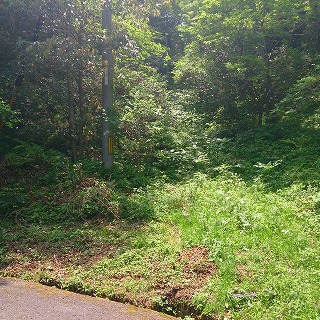 2013-05-26-11-42-30_photo