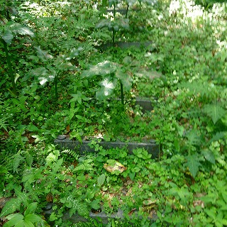 2013-05-26-11-43-53_photo