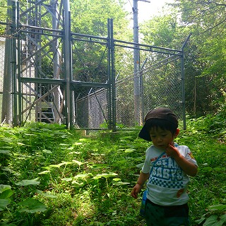 2013-05-26-11-45-23_photo