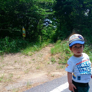 2013-05-26-12-08-18_photo