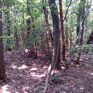 2013-05-26-12-21-01_photo