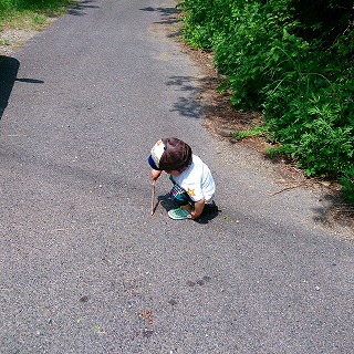 2013-05-26-12-51-42_photo