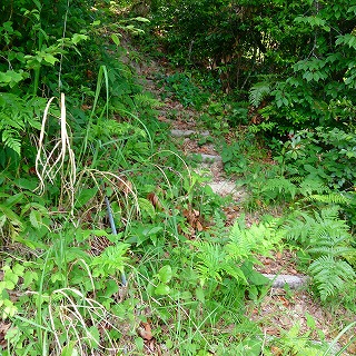 2013-05-26-12-57-24_photo