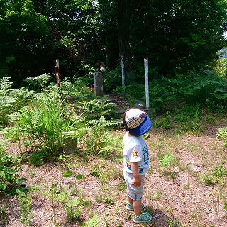 2013-05-26-12-59-03_photo