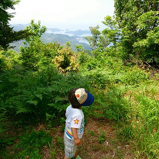 2013-05-26-12-59-35_photo