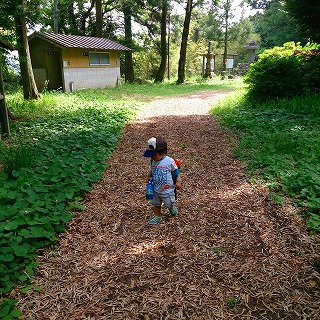 2013-05-26-14-40-04_photo