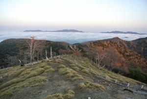 20130518-10 (300x201)