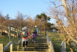 20130518-11 (300x201)