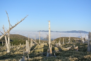 20130518-13 (300x201)