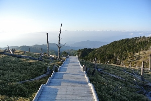 20130518-14 (300x201)