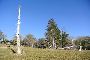 20130518-16 (300x201)