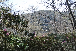 20130518-22 (300x201)