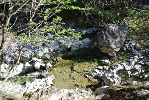 20130518-23 (300x201)