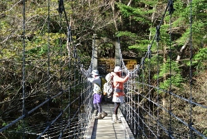 20130518-24 (300x201)