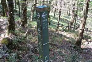 20130518-28-2 (300x201)