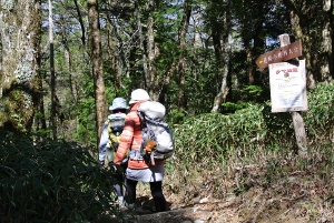 20130518-28 (300x201)