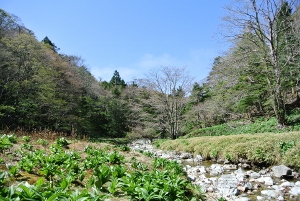 20130518-29 (300x201)