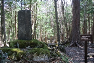 20130518-32 (300x201)